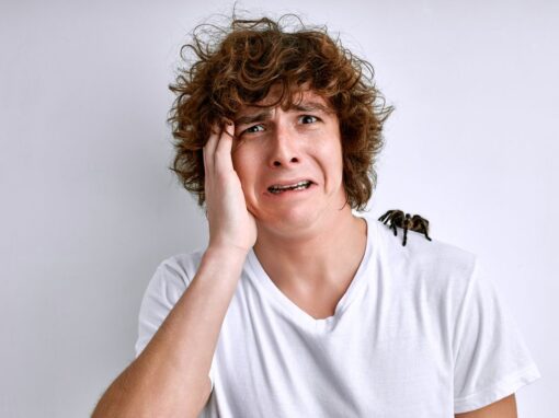 A man with a spider on his sholder, worried about a spider bite in Chicago & Rockford