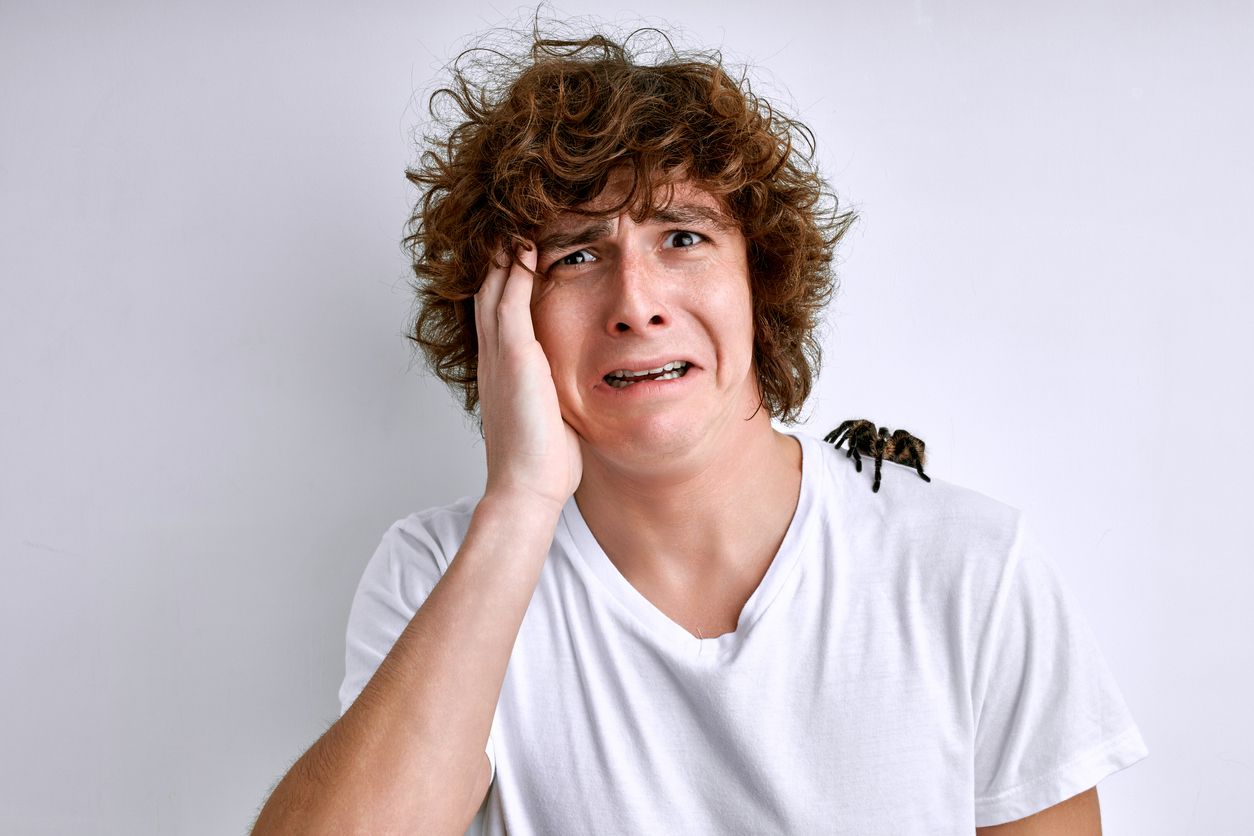 A young person in a white shirt looks frightened while a large tarantula sits on their shoulder, showing there are real spiders to worry about against a plain background.