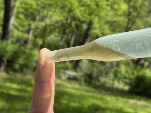 A hand holds a plastic pipette filled with cloudy water and small aquatic organisms, illustrating mosquito control against the backdrop of a forest.