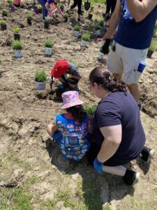 Children and an adult kneel on the ground planting small green plants in a garden, with gardening supplies and gloves visible.